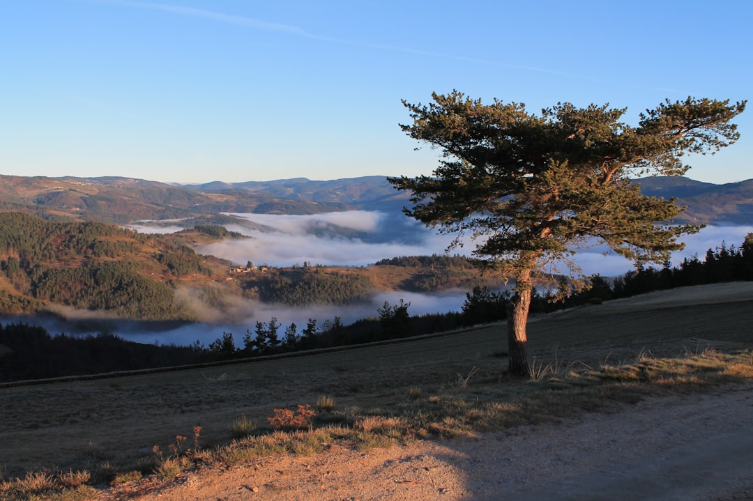Photo Nature landscape